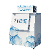  Ice Merchandiser Outdoor Slanted Solid Door Bagged Ice Storage Freezer