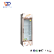  Coke Cooler Chiller Refrigerator National Display Glass Door Cooler Chiller Fridges Freezers Refrigerators Drinking Fridge for Pepsi and Cola