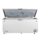  758L -45c Ultra Low Temperature Seafood Tuna Storage Freezer (DW-45W758)