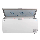  758L -45c Ultra Low Temperature Seafood Tuna Storage Freezer (DW-45W758)