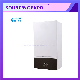  China OEM Factory Wholesale Compact Hot Selling Wall Mounted Conventional Central Heating Gas Boiler