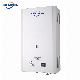  High Quality Low Price Wall Mounted Shower Gas Water Heater for Sale