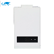Hot Selling Touch Screen Display Forced Type Tankless Gas Hot Water Heater
