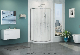 Best Sales Simple Quadrant Double Sliding Shower Enclosure