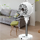 35 Inch High Quality Brushless DC Air Circulator Floor Pedestal Stand Electric Fan Air Circulation Fan Electronic Hand Fan