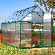  Automated Agriculture Venlo Arch Film Glass Greenhouse with Hydroponics Irrigate Lighting System with Fan Outside/Inside Shading