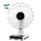 Hot Sale 3 Speed Setting Desk Table Fan with Timer