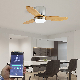  Ceiling Fan Light DC Fan Motor, Bluetooth APP Control