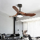  Ceiling Fan Light DC Fan Motor, Bluetooth APP Control