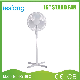  Hot-Sale European Market Stand Fan with CB Ce RoHS Certificate (FS-40-2)