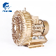  Best Ring Blower Manufacturers Regenerative Blower Company Side Channel Blowers Factory Vacuum Pump Suppliers