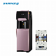 New Hot and Cold Compressor Vertical Water Purifier with CE