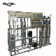 Low Price Sale EDI Ultra Pure Deionized Water EDI RO System Equipment Machine System
