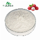 100% Natural Bulk Instant Solid Drinks Organic Fruit Extract Freeze Dry Juice Lychee Powder