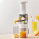  Unique Design Electric Masticating Slow Juicer Extractor with Compact Body Juicer
