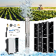  Solarthon 3 Inch Borehole DC Solar Power Submersible Pumps Helical Rotor Solar Water Pump for Farm Irrigation