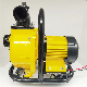 Brushless DC 2inch Large Flow Pump High Head Pump Solar Self Priming Centrifugal Sewage Water Pump