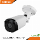  20m~60m Longse Wikipedia Style IR Poe APP Range TF SD Card Storage IP66 Outdoor in Bullet IP Camera