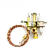 Gas Thermocouple Pilot Burner for Gas Water Heater, Pipe Line Gas Stove manufacturer