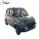 Wholesale New Electric Car 3000W 4000W Adult Auto 4-5 Seats Cheap manufacturer