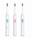 New Tooth Brush, Personal Care: Dt-203bh5