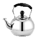  Round Shape Plastic Handle Water Tea Kettle Stainless Steel with 2.5 Liters