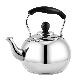 Round Shape Plastic Handle Water Tea Kettle Stainless Steel with 2.5 Liters