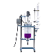  Jacket Types Glass Reactor Hydrolysis Kettle