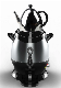  1L Top Teapot+4L Body Kettle Electric Kettle Samovars