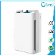 Activated Carbon Filter Intelligent Touch Screen Smoking Room Ionzier Air Purifier for Home