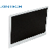  LCD Display Module 11.6 IPS 1920X1080 Color Screen