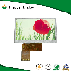  40 Pin 480X272 Resolution 5 Inch TFT LCD Module