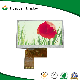 40 Pin 480X272 Resolution 5 Inch TFT LCD Module