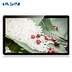  Indoor 55 Inch IPS Panel TFT Touch Screen LCD Monitor