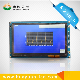 Car LCD Display 800X480 7 Inch TFT Touch Screen