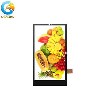 Industrial Grade 5.5" 1080X1920 Dots Display LCD TFT Screen with Anti-Glare Touch Screen