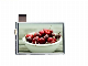  All Viewing 3.5inch 320*480 TFT LCD Screen with Touch Panel