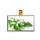 9.0 Inch 1024*600 TFT LCD Screen with Resistive Touch Panel