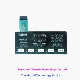 Touch Screen Membrane Switch Display Flexible Cable Overlay Membrane Panel