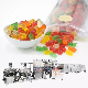 Tg LED Touch Panel Double Color Side by Side Customized Gummy Candy Making Machine Line