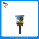  16.7m (RGB X 8bits) 2.95 Inch Color Am OLED Module with 1080*1200p and Mipi Interface