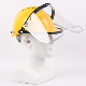 PPE Plus New Style Wholesale Safety Helmet with Face Shields