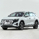  Used Car Audi Q5 E-Tron Electric Cars Adults Vehicle 40 E-Tron 50 E-Tron Electric Car Sale