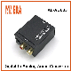  Anera Dac Digital Audio Signals to Analog L/R Audio Converter