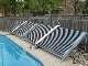  Solar Swimming Pool Heater