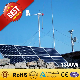 Hybrid Solar Wind Power Generator (1kw+300W) Wind Turibine System Wind Power Solar Power Products