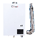 Wholesale Price Central Thermostat Type Gas Instant Water Heater with Pressure Pump