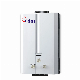 China OEM Wholesale Manufactory Flue Type Gas Water Heater