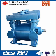  2bea-202 Vacuum Air Suction Pump for Big-Sale-Price to Worldwide