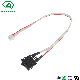 Automobile, Medical, Rail and Solar Energy Cable Assembly and Wire Harness